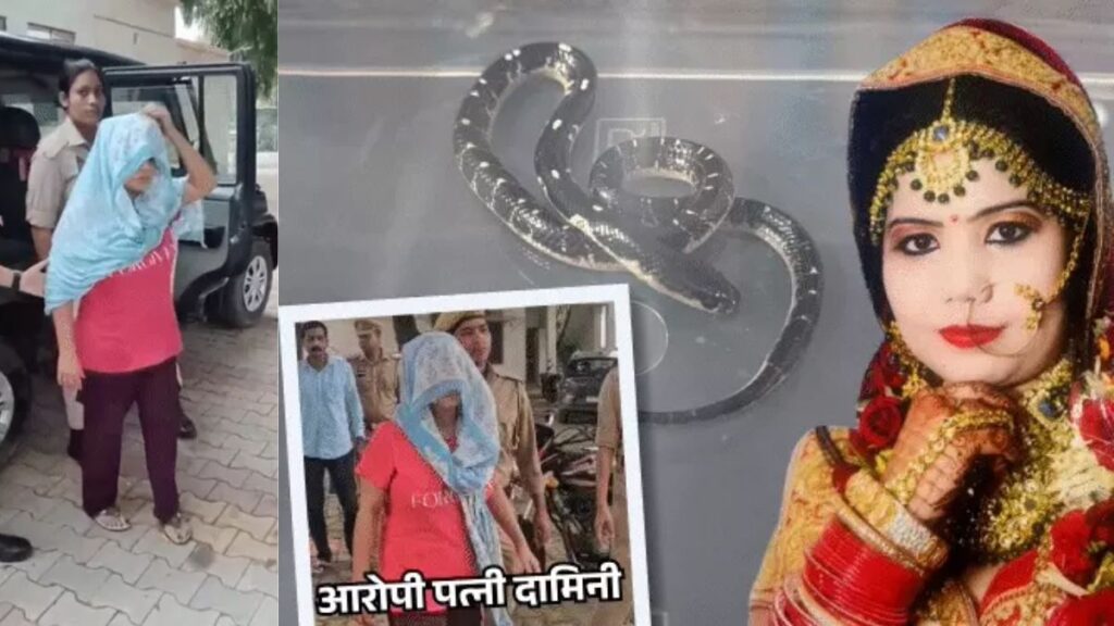 15 दिन भूखे करैत से पति की हत्या! दामिनी-तुषार की जमानत मुश्किल, लॉ एक्सपर्ट बोले- ‘फांसी की सजा तक बनता है मामला’