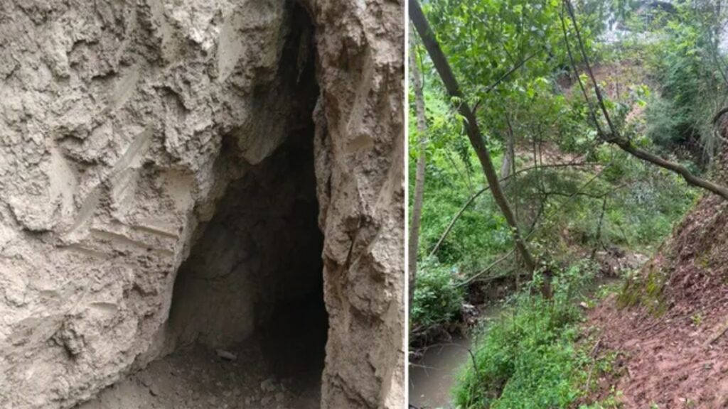 दक्षिण कश्मीर में आतंकियों की बड़ी साजिश नाकाम! बाग से मिला हथियारों का जखीरा, सुरक्षाबलों के ऑपरेशन से मचा हड़कंप